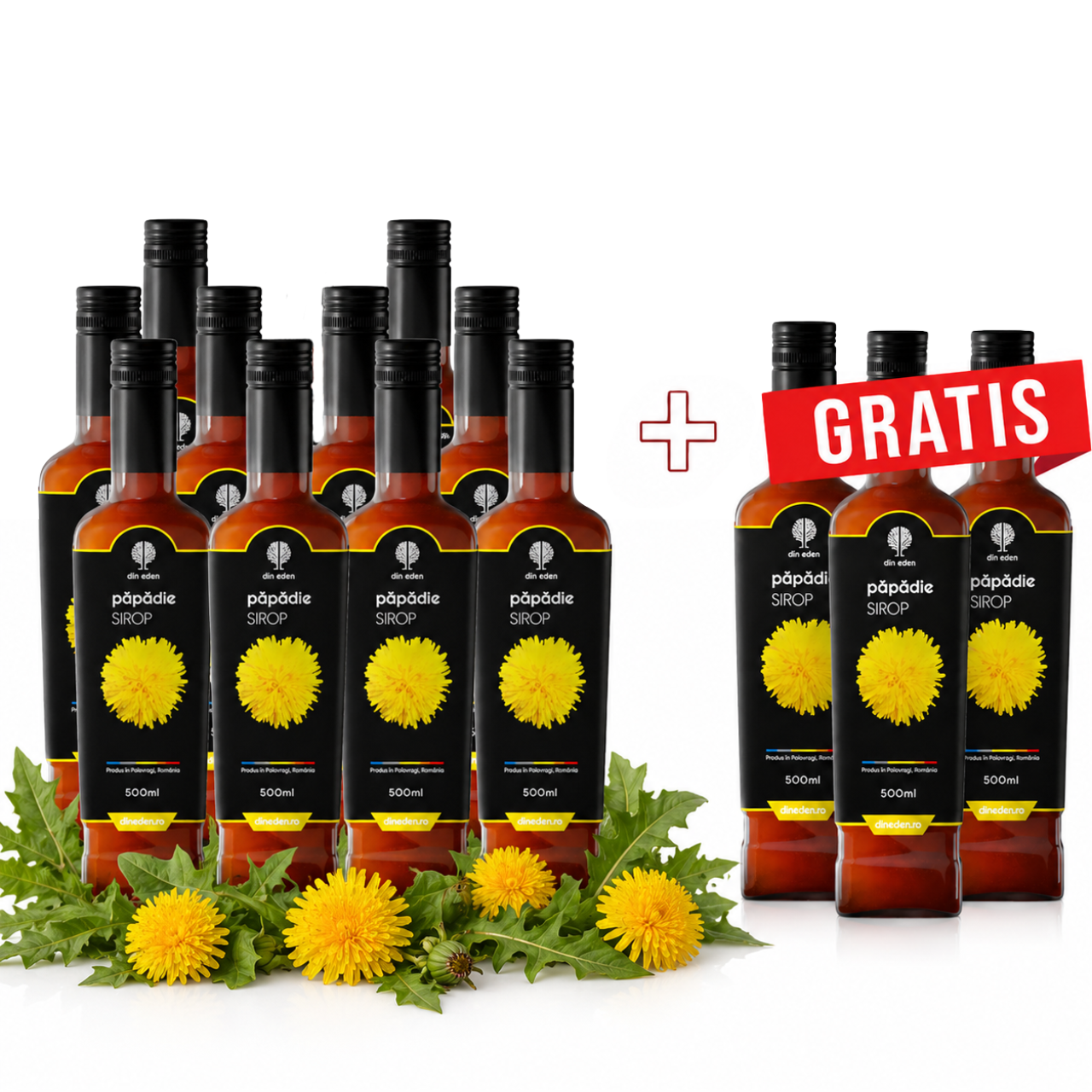 10 + 3 Papadie Pachet Păpădie 10+3 GRATIS – 500 ml - imagine 1