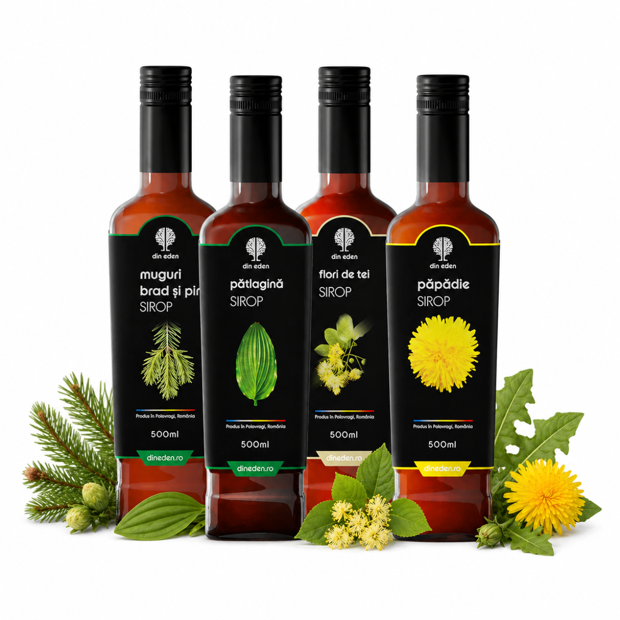 Pachet Tuse Pachet Tuse & Răceală - 4 x 500 ml - imagine 1